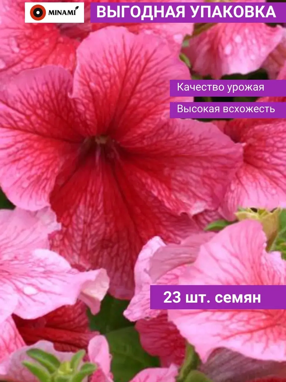 Петуния грандифлора Дэдди F1 Ред 23шт