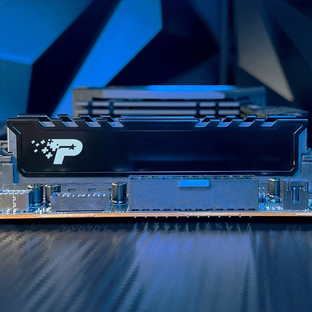 Память оперативная Patriot DDR5 2x16GB 4800MHz Signature Premium RTL (PSP532G4800KH1)