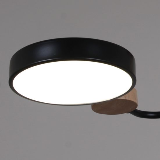 03326-0.3-03 BK+WOOD светильник потолочный