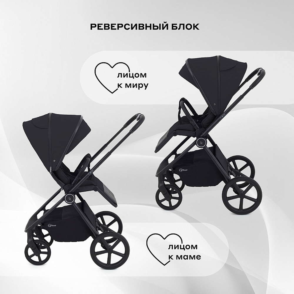 Детская коляска Rant Teo 2 в 1 Black