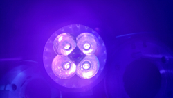 Лампа УФ светодиодная 4W 12V R50 GU5.3