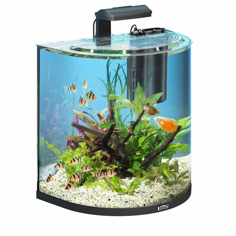 Tetra AquaArt Explorer Line Tropical 60 л (черный) - полукруглый аквариум со светом и оборудованием