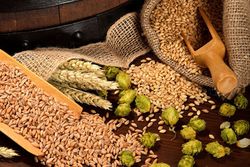 Ингредиенты