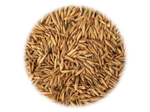 Солод Simpsons Golden Naked OATS (Голден Нэйкд Оутc)