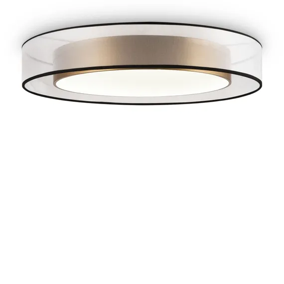 Потолочный светильник Зотикус / Zoticus Freya fr6005cl-l48g