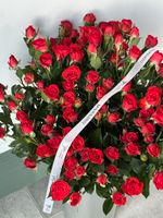 АКЦИЯ - красная кустовая роза - цена действует при заказе от 25шт