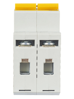 KARAT Автоматический выключатель ВА47-60M 2P C 40А 6кА IEK