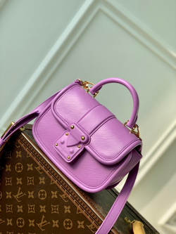 Louis Vuitton Hide & Seek Bag