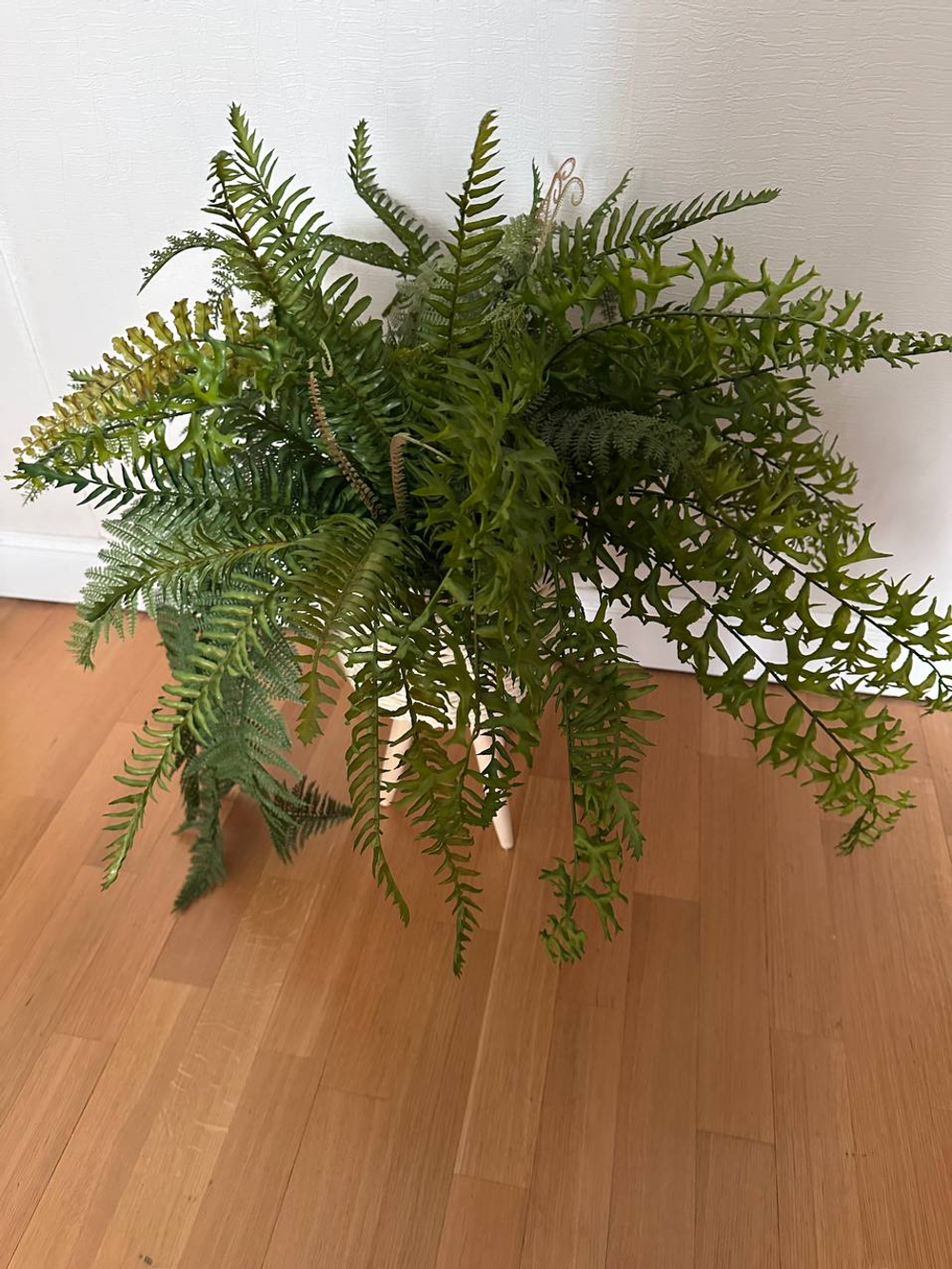 Микс растений в кашпо на ножках, в-68 см