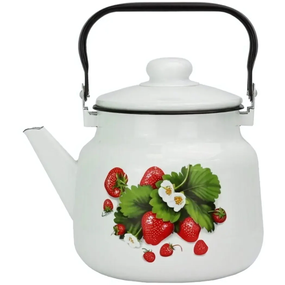 Чайник эмалированный 3,5л с рисунком 01-2713/4