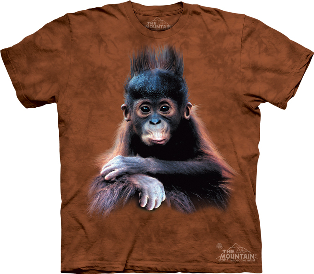 Baby Orangutan