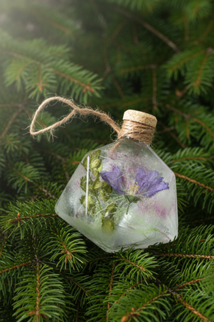 Льдинка Денежный