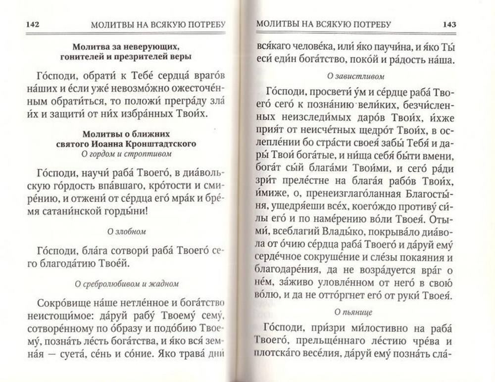 Господи, храни моих детей! Молитвослов семейный с магнитным клапаном (флок)