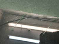 Стекло двери переднее левое BMW X1 F48 (2015-2022)