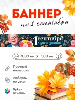 Баннер на 1 сентября "С Днем Знаний"