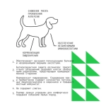 AJO (Айо) Dog Mini Hypoallergenic Сухой полнорационный корм с гречкой для взрослых собак миниатюрных и малых пород, склонных к аллергиям