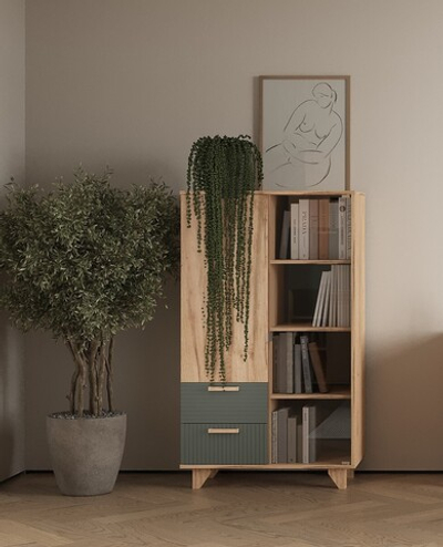 Ньёрд Шкаф-Витрина