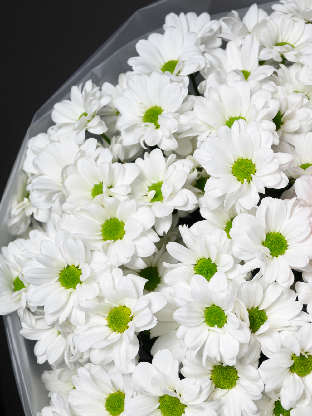 Моя Любовь 11