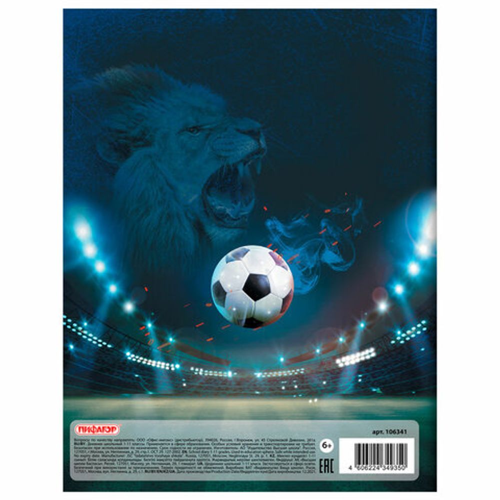 Дневник 1-11 класс 40 л., на скобе, ПИФАГОР, обложка картон, "Football", 106341
