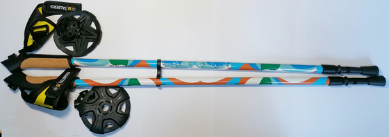 ПАЛКИ ДЛЯ ХОДЬБЫ TALBERG ENERGY