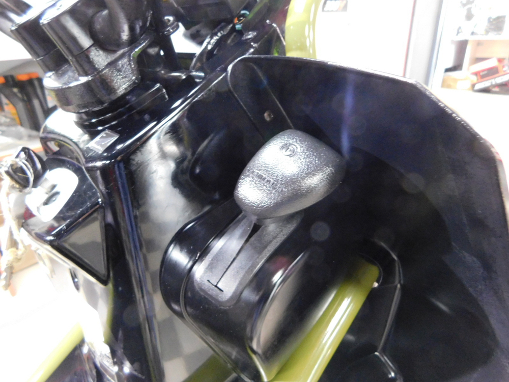 Honda PS250 BIG ruckus MF09-1001444
