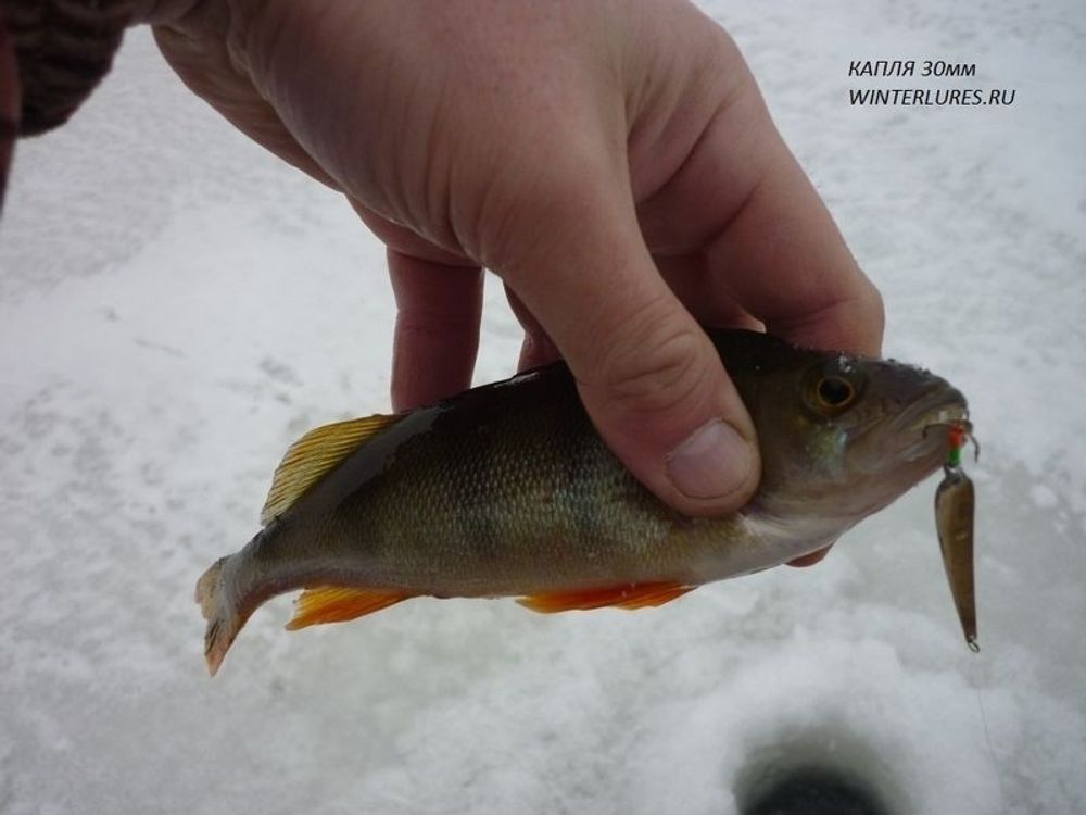 Блесна Зимняя WINTERLURES Борода ( Капелька) 30мм тройник