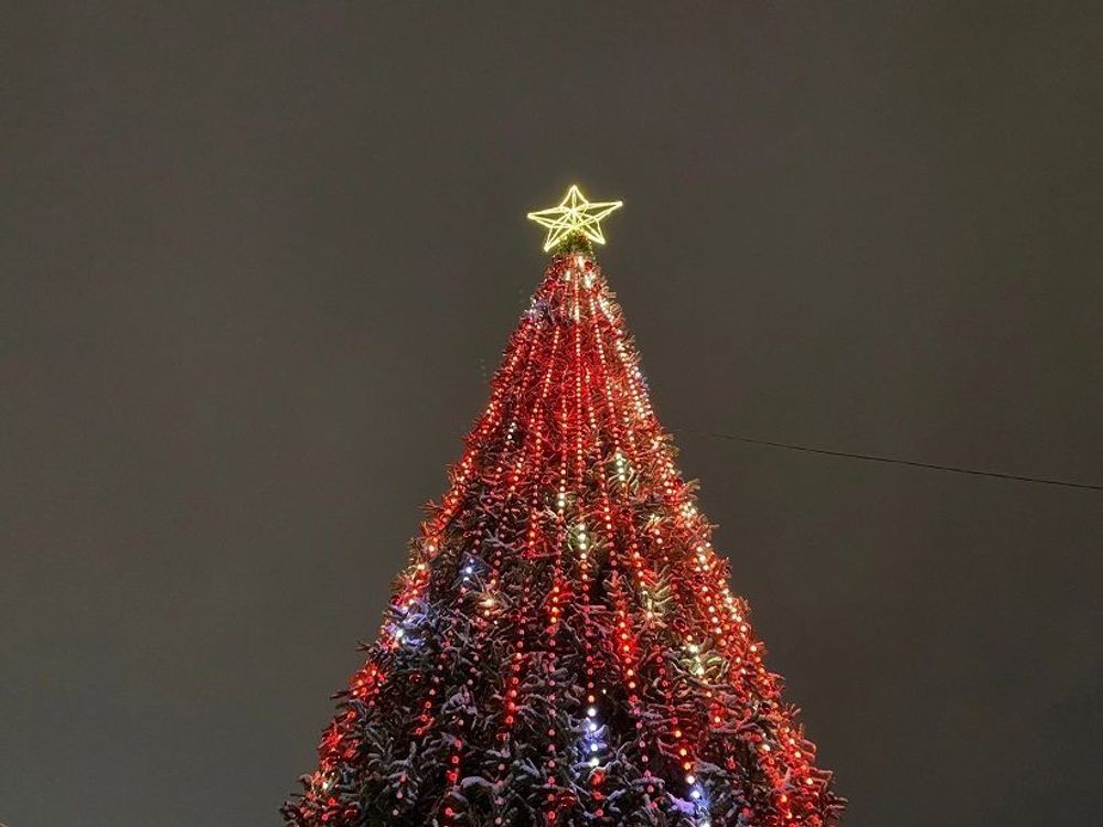 Умная уличная гирлянда «3D» на елку от 4 до 30 м