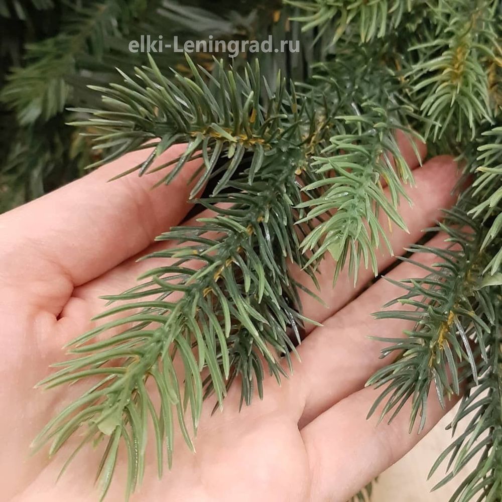 Искусственная елка «Грацио» (Литая+пвх) 240 см / 2.4 м