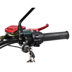 Электроскутер White Siberia BLACK SEA (GREEN) 5000W