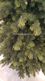 Искусственная ель «Леано» (Литая хвоя) 180 см / 1.8 м