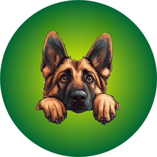 Щенки и собаки в любимцы - подробнее...→