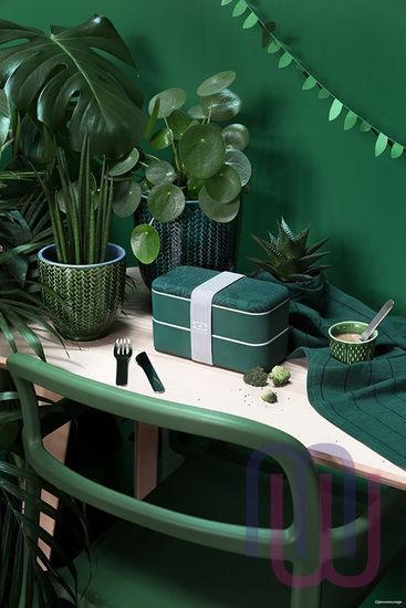 Ланч-бокс MB Original jungle