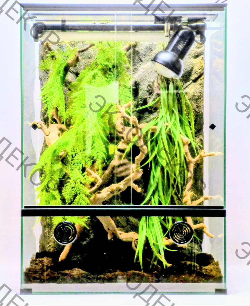 Готовый комплект для Хамелеона, террариум 50х40х80 и всё необходимое для содержания.