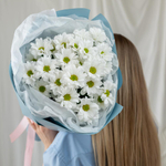 Ромашки в воздушной упаковке