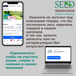 Лучшие сорта томата: Кулема, Цыпочка и Бычье сердце. Семена Алтая
