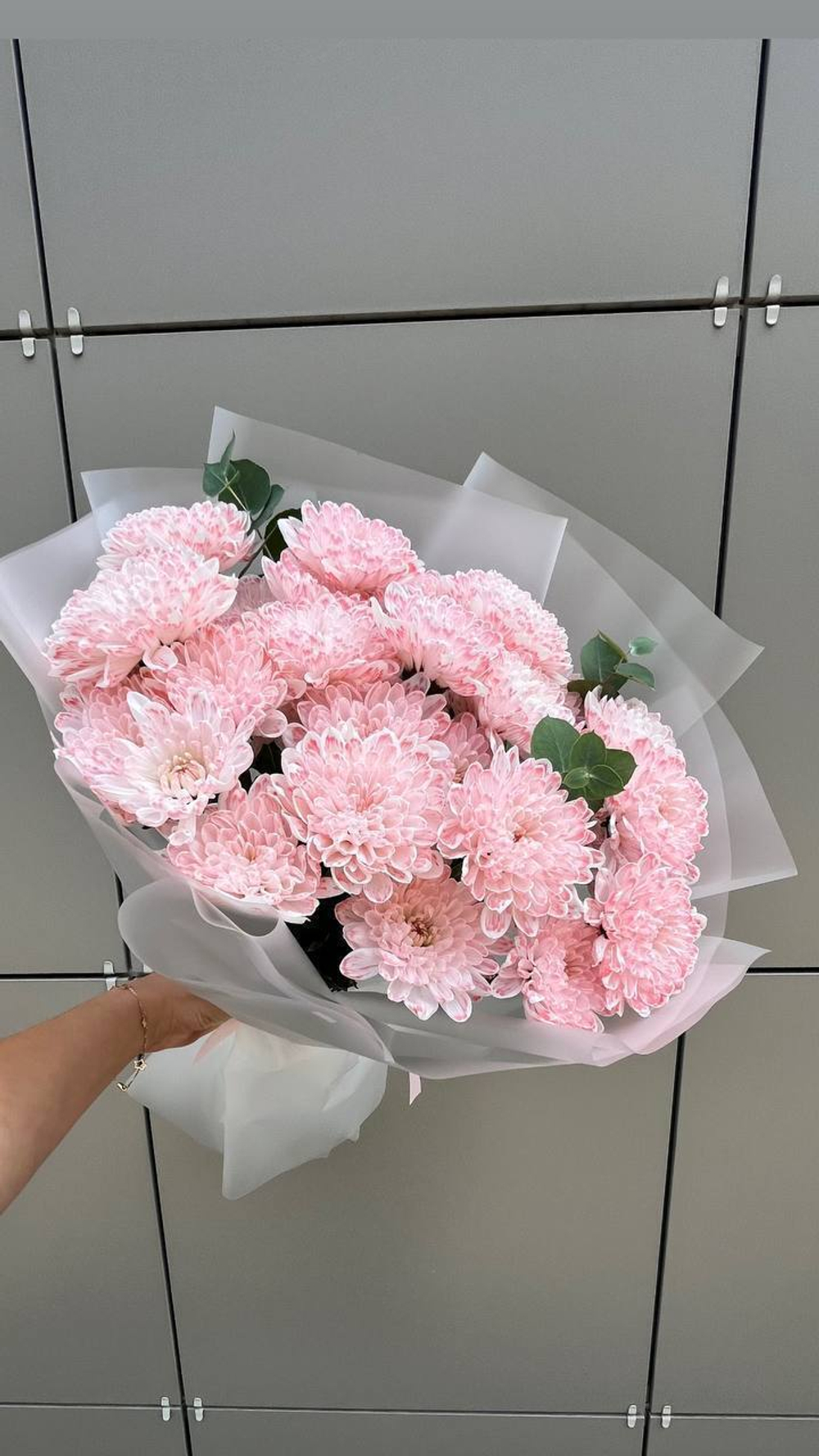 Хризантемы розовое облачко