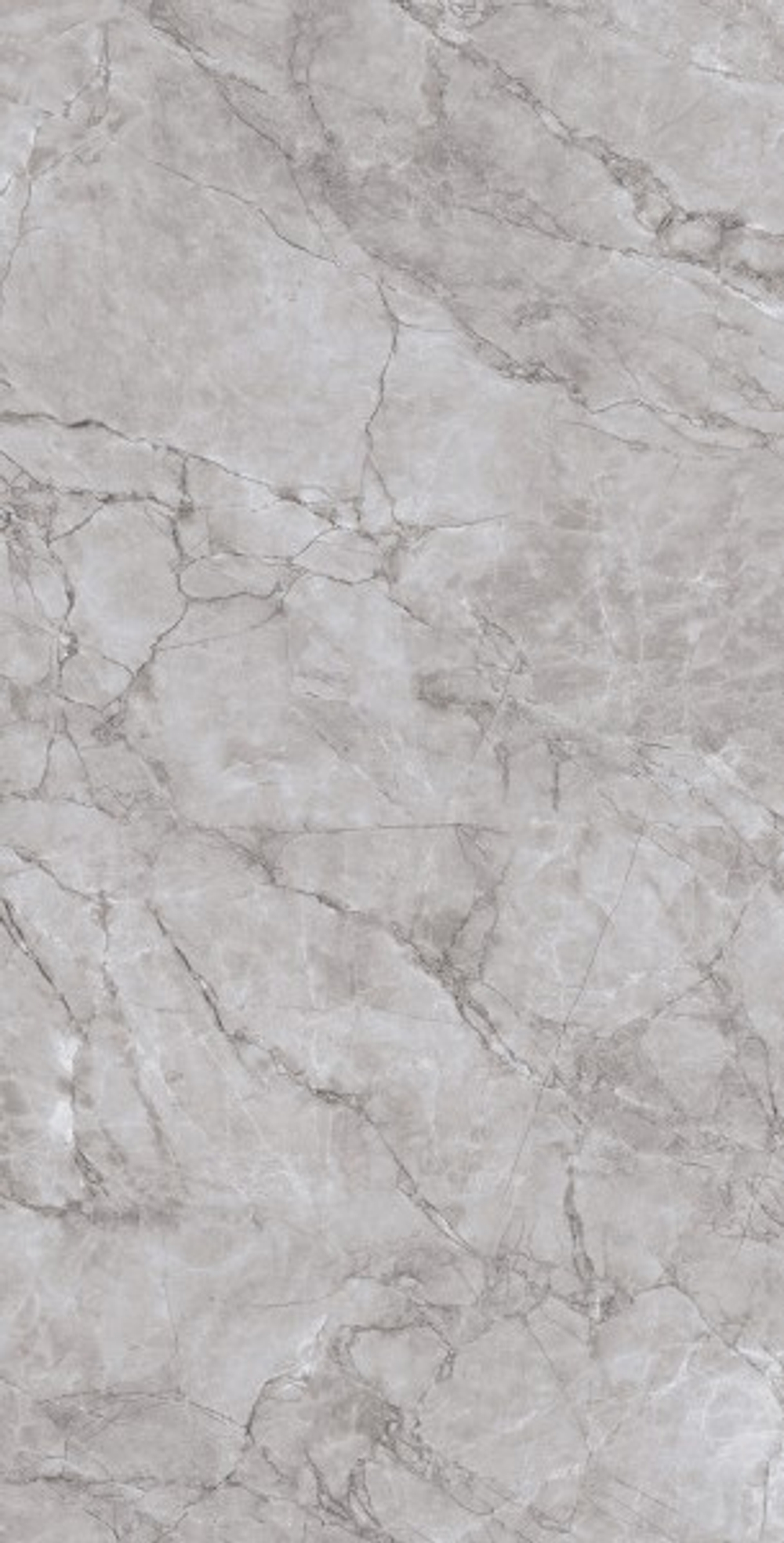 ARCTIC GREY LAPPATO CL4005-A