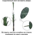 Банановая пальма 186 см.