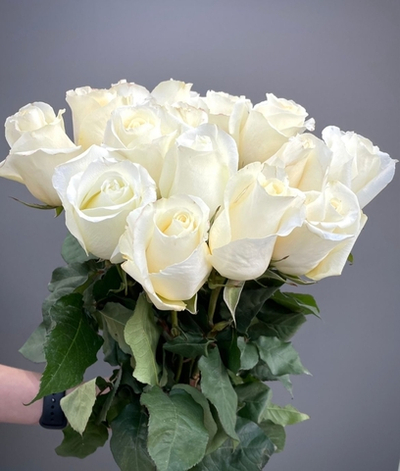 Розы Мондиал 50 см