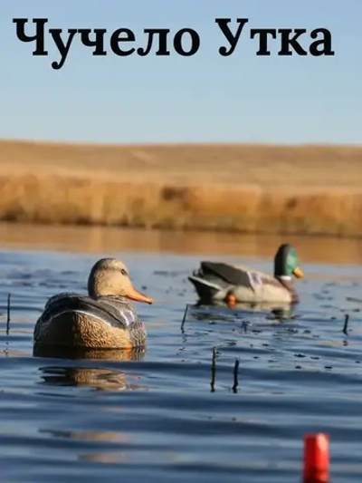 Чучело утка 10-20 см