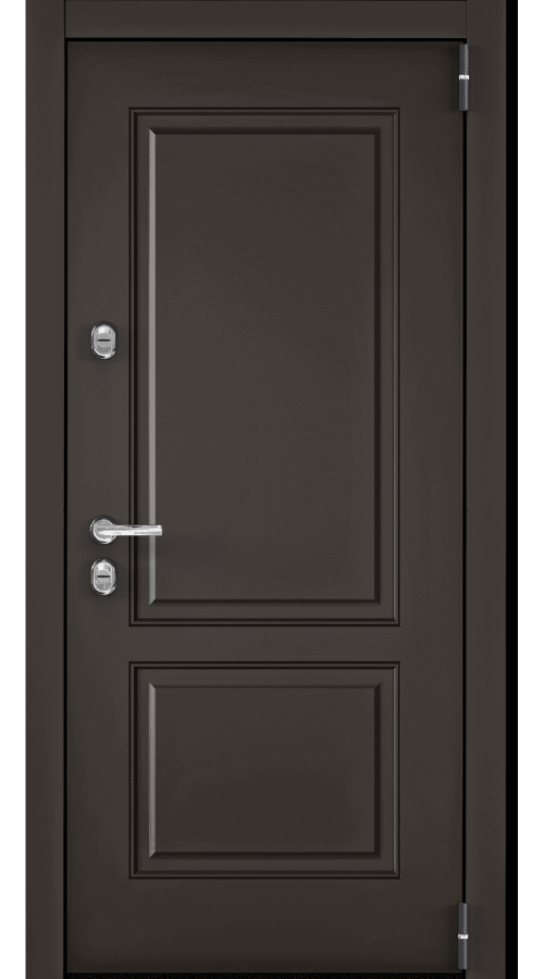 Дверь Snegir Arctic PP-31 Torex