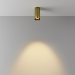 Накладной светодиодный светильник Maytoni FOCUS LED C056CL-L12W2.7K-W-BS