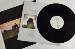 Винтажная виниловая пластинка LP Bee Gees E S P (Germany 1987)