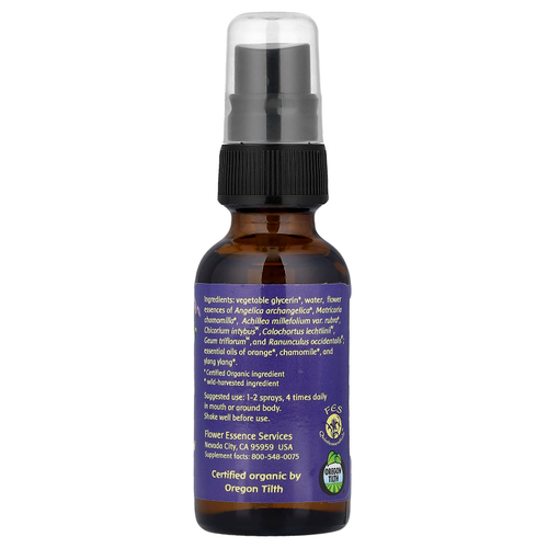 Flower Essence Services, Kinder Garden™, добавка без спирта, 30 мл (1 унция)