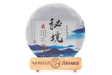 Sheng Puer 2020 "Dungeon" of the Yunfuxiang factory 357 g
