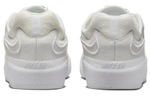Кроссовки Nike Sb Ishod "Summit White