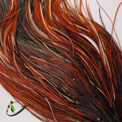 Перо из седла петуха Furnace