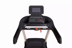 Беговая дорожка Watson Dynamics Pro 300 LCD