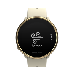 Часы для фитнеса Polar IGNITE 2 champ/gold S/L*