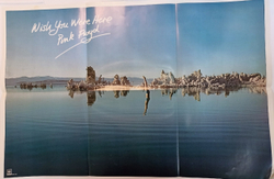 Pink Floyd Wish You Were Here (Japan 1975 postcard, poster)